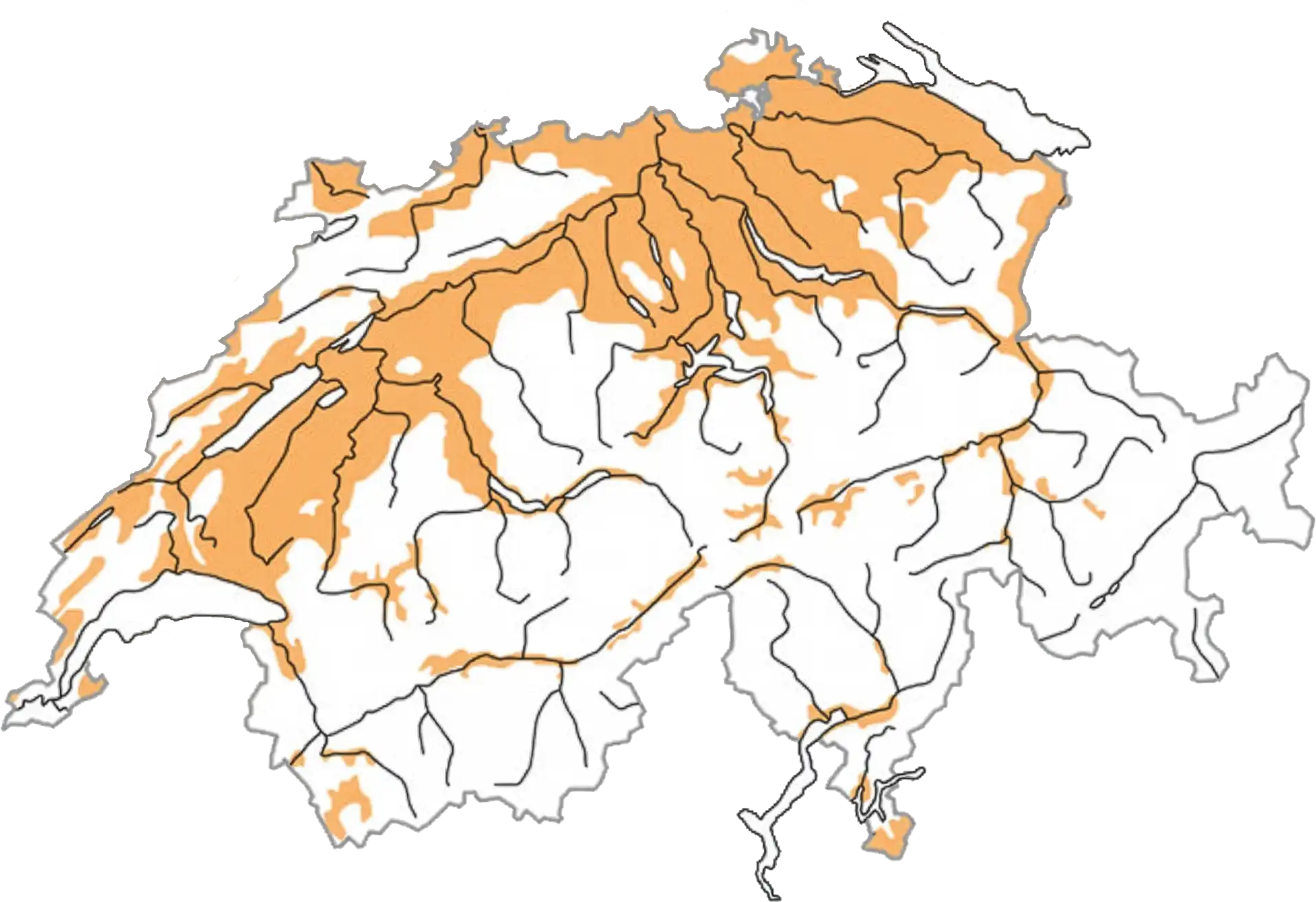 Schematisierte Verbreitung zur Brutzeit (ocker). © Schweizerische Vogelwarte Schematisierte Verbreitung zur Brutzeit (ocker). © Schweizerische Vogelwarte