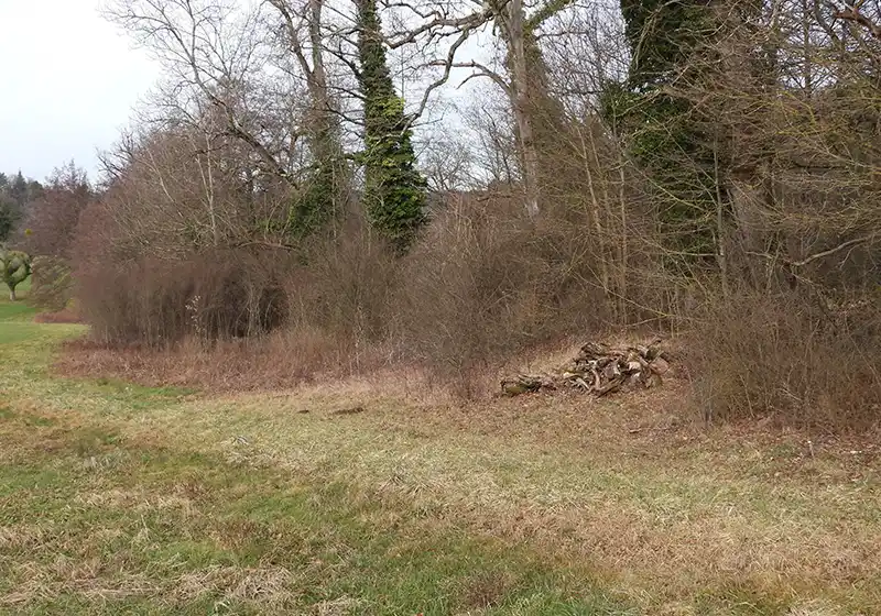 Stufige Waldränder 