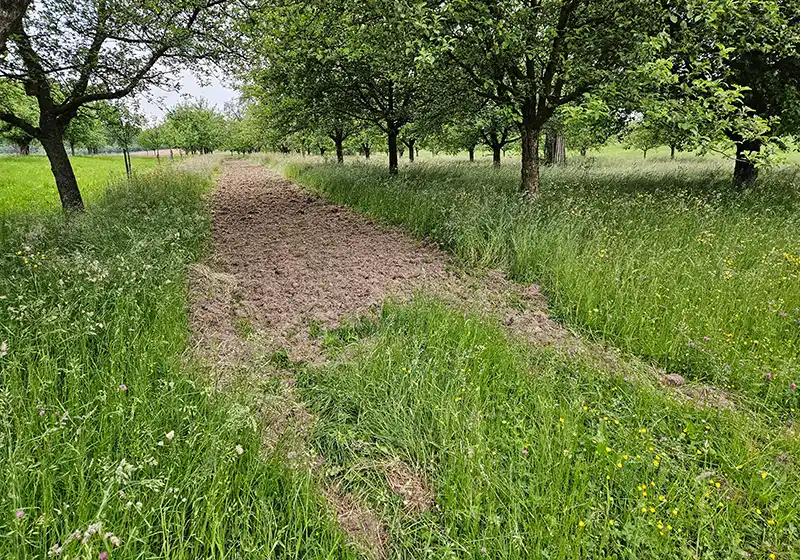 Offene Bodenstellen 